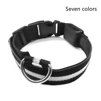 LED Pet Safety Collar Night Flashing Glow in Dark & Leash