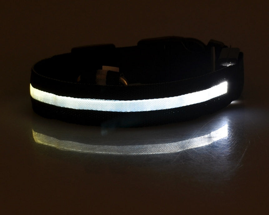LED Pet Safety Collar Night Flashing Glow in Dark & Leash