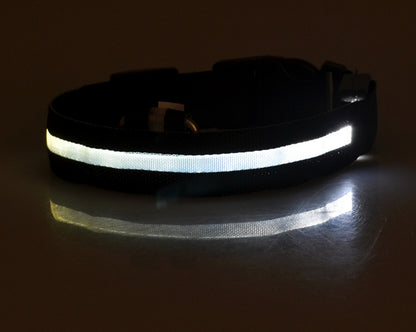 LED Pet Safety Collar Night Flashing Glow in Dark & Leash