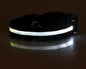 LED Pet Safety Collar Night Flashing Glow in Dark & Leash