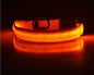 LED Pet Safety Collar Night Flashing Glow in Dark & Leash