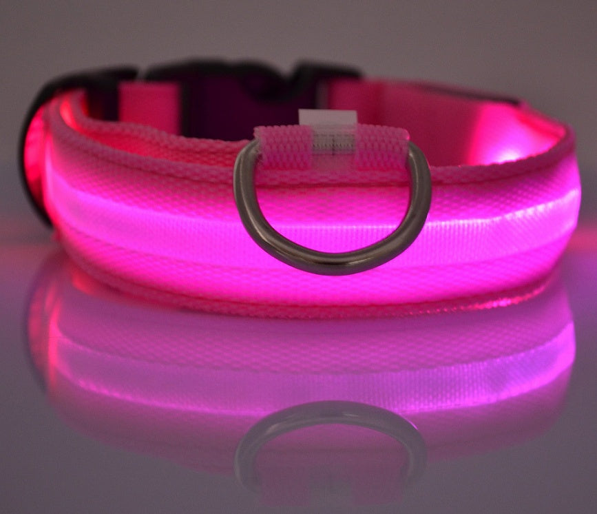 LED Pet Safety Collar Night Flashing Glow in Dark & Leash