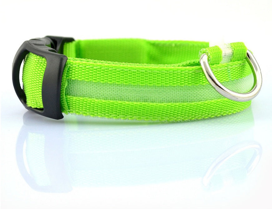LED Pet Safety Collar Night Flashing Glow in Dark & Leash