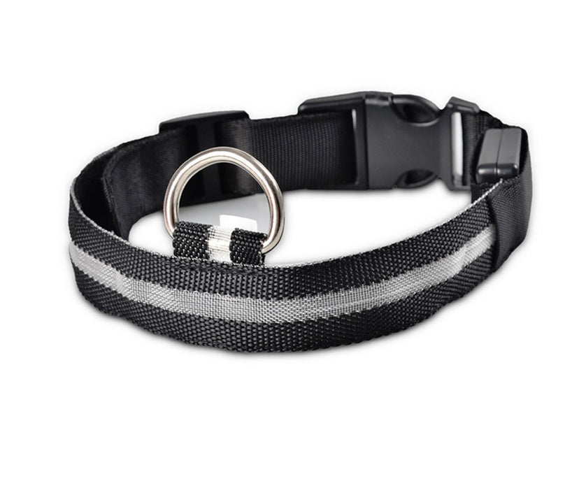 LED Pet Safety Collar Night Flashing Glow in Dark & Leash