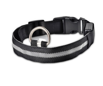 LED Pet Safety Collar Night Flashing Glow in Dark & Leash