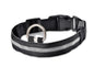 LED Pet Safety Collar Night Flashing Glow in Dark & Leash