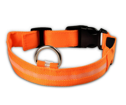 LED Pet Safety Collar Night Flashing Glow in Dark & Leash