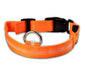 LED Pet Safety Collar Night Flashing Glow in Dark & Leash