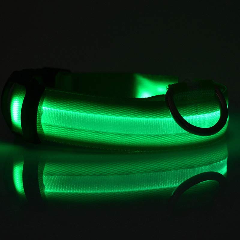 LED Pet Safety Collar Night Flashing Glow in Dark & Leash