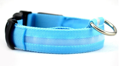 LED Pet Safety Collar Night Flashing Glow in Dark & Leash