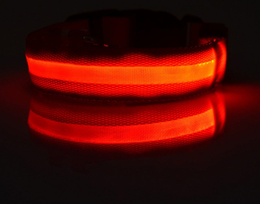 LED Pet Safety Collar Night Flashing Glow in Dark & Leash