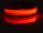 LED Pet Safety Collar Night Flashing Glow in Dark & Leash