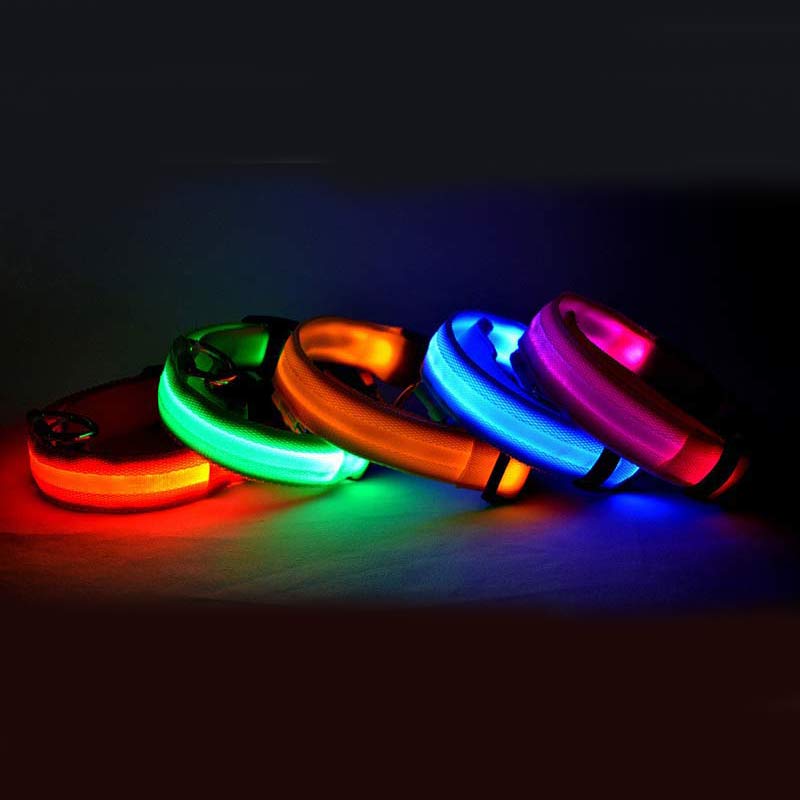 LED Pet Safety Collar Night Flashing Glow in Dark & Leash