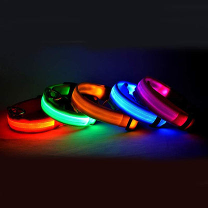 LED Pet Safety Collar Night Flashing Glow in Dark & Leash