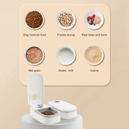 Smart Automatic Timer Food Dispenser Pet Feeder