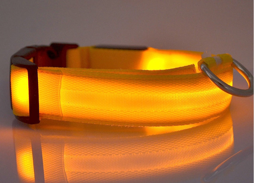 LED Pet Safety Collar Night Flashing Glow in Dark & Leash