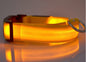 LED Pet Safety Collar Night Flashing Glow in Dark & Leash