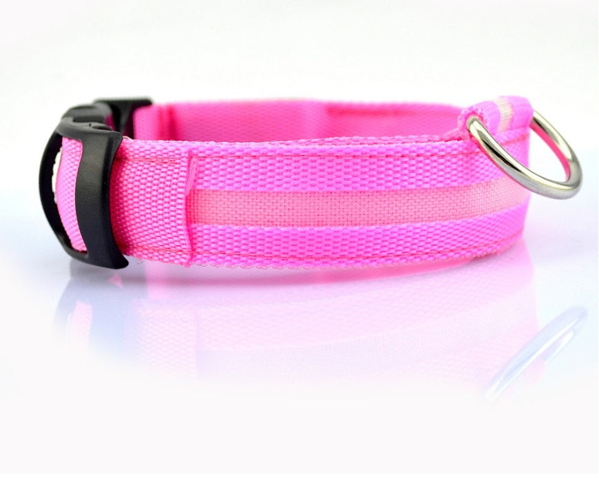 LED Pet Safety Collar Night Flashing Glow in Dark & Leash