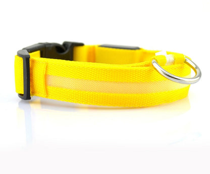 LED Pet Safety Collar Night Flashing Glow in Dark & Leash