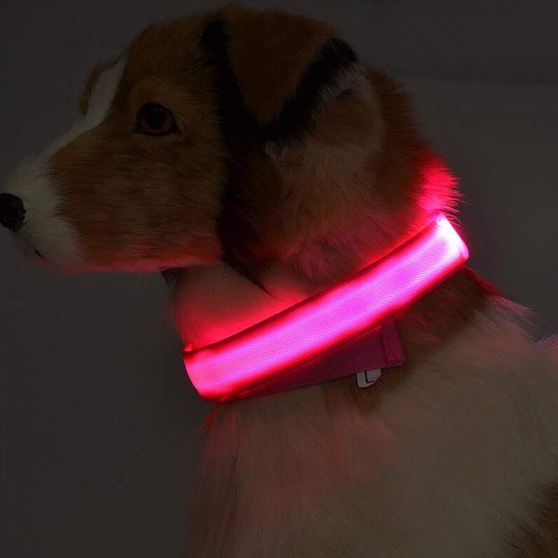 LED Pet Safety Collar Night Flashing Glow in Dark & Leash