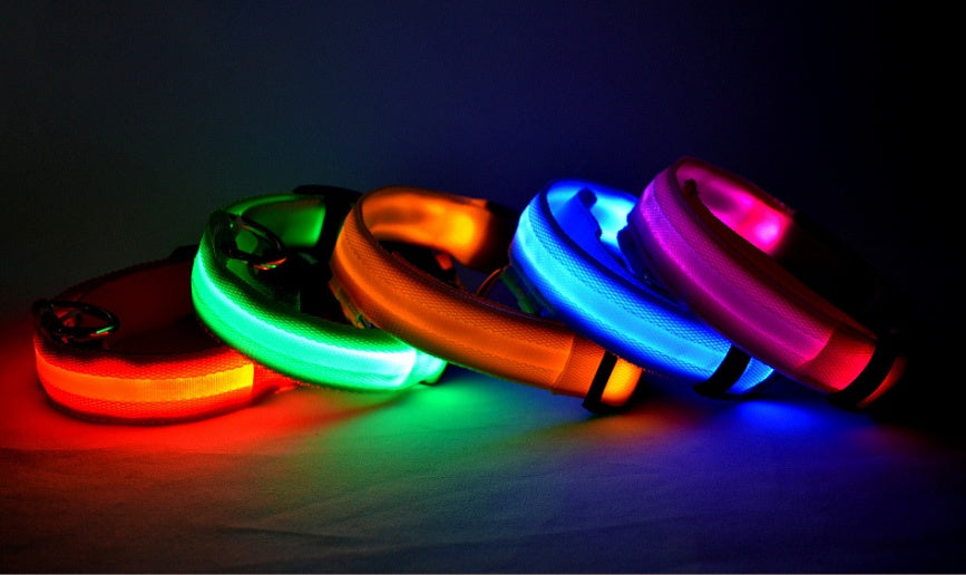 LED Pet Safety Collar Night Flashing Glow in Dark & Leash