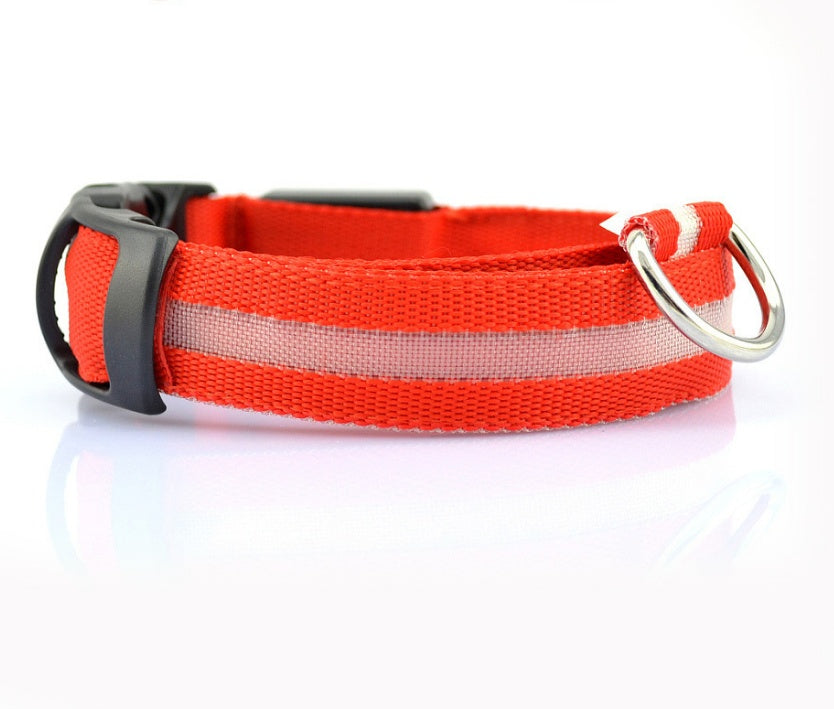 LED Pet Safety Collar Night Flashing Glow in Dark & Leash