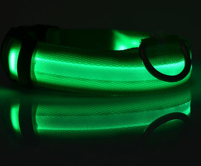 LED Pet Safety Collar Night Flashing Glow in Dark & Leash