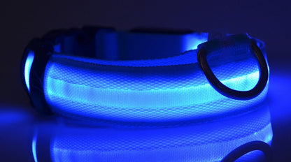 LED Pet Safety Collar Night Flashing Glow in Dark & Leash