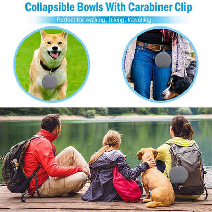 Rubber Foldable Double Feeding Pets Supplies Dog Cat Bowls